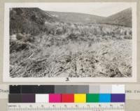 Chamise brush on moderate slopes with some rolled down ready for burning in the foreground