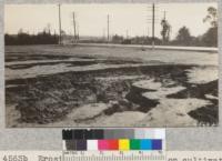 Erosion of moderate slope on cultivated polo field showing gullies cut to 2 ft. depth in rain of December, 1928. Metcalf. December, 1928