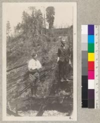 Santa Cruz Farm Bureau Forestry tour, June 1927. The Farm Bureau president (left) and Mr. S.B. Hunt, chairman of the Farm Bureau Forestry committee, in some cut-over redwood land above Big Basin