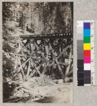 Railroad trestle. Madera Sugar Pine Company, 1921