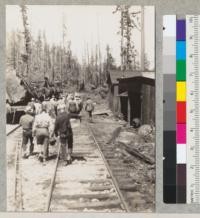 Redwood Logging Conference. Field trip, May 10, 1940. Monument Creek, Scotia, California. E. F