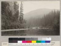 Looking up the south fork of Eel River from Brush Creek, showing the thrifty character of the old growth along the banks, a few spike tops interspersed. Redwood grows to good size to the top of the hold [sic] in the background. July 1928, E.F