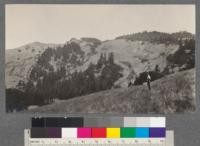 High grade grazing land. West slope of Coast Range. T.2 S. H.B. R.7 E. Humboldt Meridian, Sec. 10