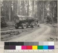 Hauling redwood log on trucks three miles from landing to Railroad at Carlotta. Hammond & Little River Redwood Company. June 1935. E.F