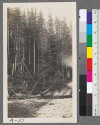 Trout hole near Camp #3, Skykomish River. Snoqualmie National Forest, Washington