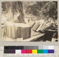 Redwood Region. Making shingle bolts. Pacific Lumber Company operation (Skiffington's) near Redcrest. 7-8-36 E. F