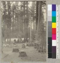 Camp Califorest. Looking north over camp from door of faculty house. "C" group of tents. 7-16-39. E.F