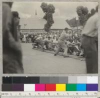 Camp Califorest. Tug-of-war contest on Main St. in Quincy, California. 4th of July celebration. Foresters to right, lost contest. 7-4-39. E.F