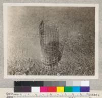 Cotton waste soaked with linseed oil and a little Japan drier and placed in this cage will take fire from spontaneous combusstion in from 1.5 to 3 hours, depending on temperature. "Don't save oily rags unless in tight metal containers." 1930