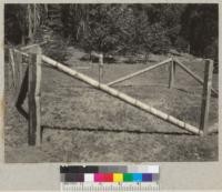 Camp Califorest. Grass and grazing sample plot in meadow below camp. E.F. July 1, 1936