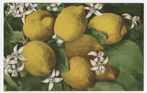California lemons
