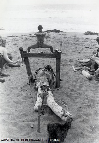 Joint Summer Workshop at Sea Ranch, 1966