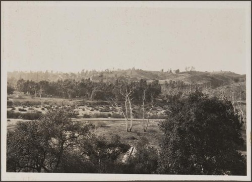 Looking west over Arroyo from Sterling Place and Arroya Drive, South Pasadena