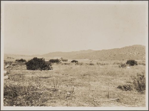 Looking west from Walnut Avenue and Kenneth Road, Burbank; alluvial cones with vineyard