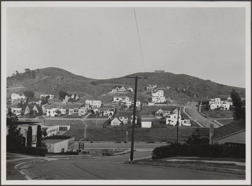 Looking north from Palmer Drive
