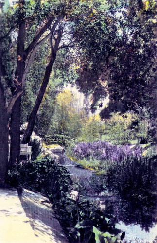 Gardens at the Orcutt Ranch, 1924