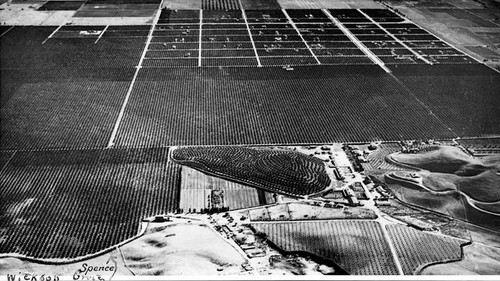 Sunshine Ranch and Wickson Grove, Granada Hills, circa 1932