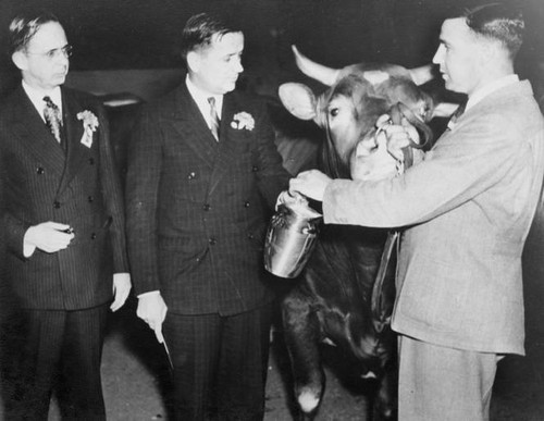 Adohr Farms wins the Governor's Trophy at the National Dairy Show at the Texas Centennial, Dallas, 1936