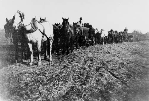 Farm field, Calabasas, circa 1914