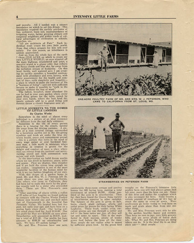 Intensive Little Farms, 1923 (page 4)