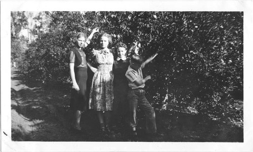 Orange groves in San Fernando, circa 1938