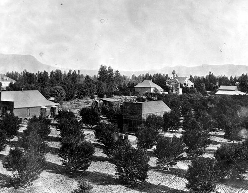 Weddington Bros. store with Lankershim School in the background. 1892-1894