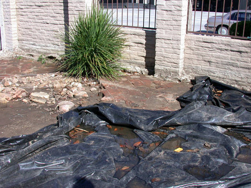 Campo de Cahuenga archaeological site