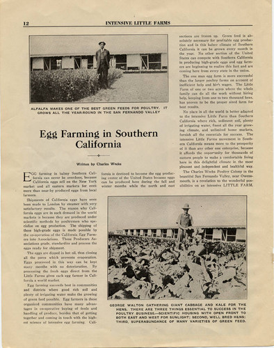 Intensive Little Farms, 1923 (page 12)