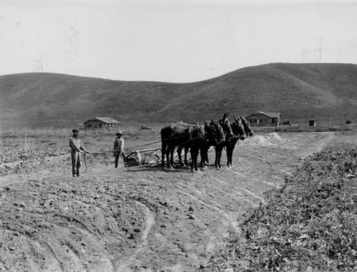 Street grading, Woodland HIlls, circa 1915-1925