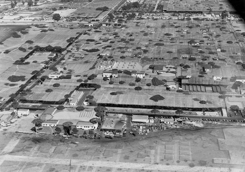 Camouflage over the Lockheed plant, 1942