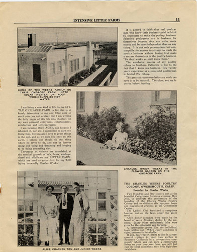 Intensive Little Farms, 1923 (page 11)