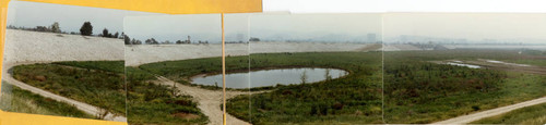 Pond at the Sepulveda Wildlife Reserve, 1981