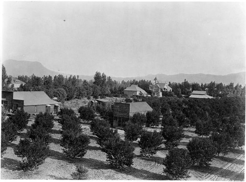 View of the city of Lankershim