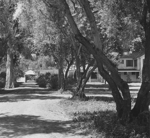 Workman Ranch, Canoga Park, circa 1940s or 1950s