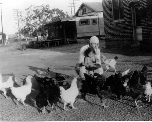 Velarde family members and chickens, Calabasas, circa 1900-1930
