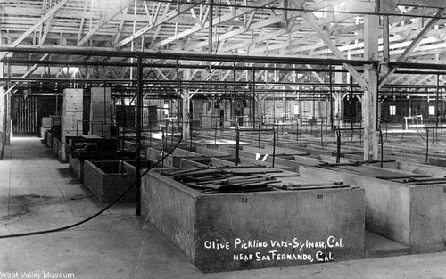 Olive pickling vats, Sylmar, circa 1926