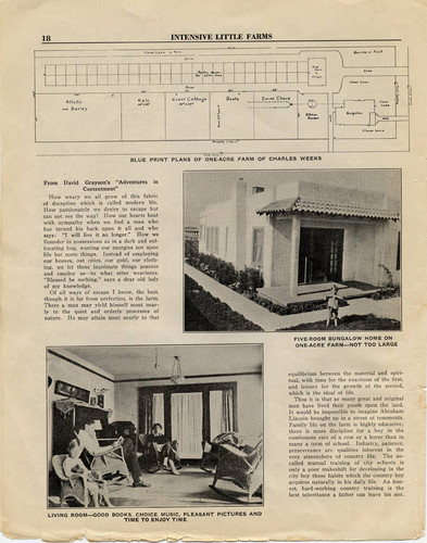 Intensive Little Farms, 1923 (page 18)