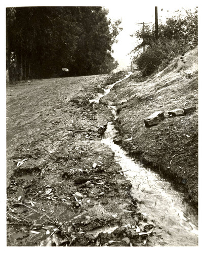 Corbin Avenue after rainstorm, Tarzana, 1966