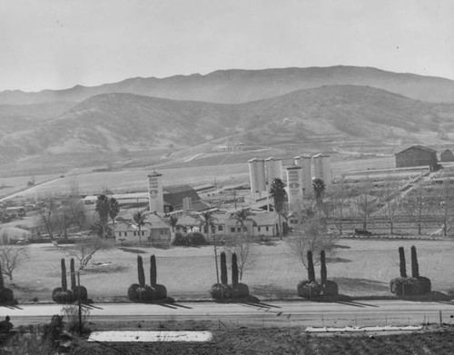 Adohr Farms, Reseda, circa 1935-1937