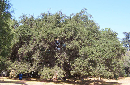 John Wayne home, Encino, 2003