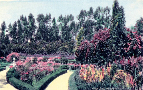 Gardens at the Orcutt Ranch, 1924