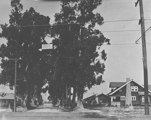 East Lomita Avenue at Brand Boulevard, 1915