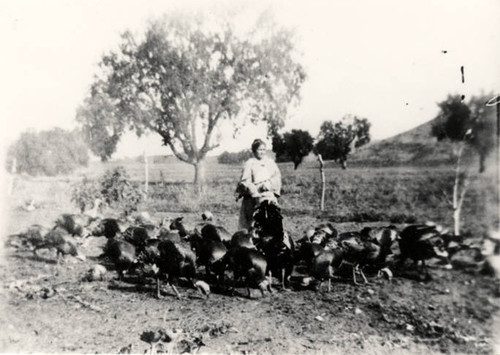 Coig Ranch, Calabasas, circa 1910