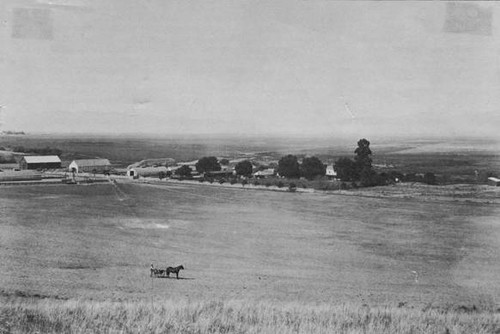 San Fernando Valley, circa 1900