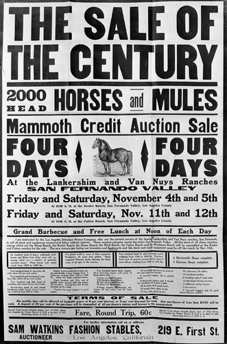 Notice of Auction Sale of Horses, San Fernando Valley, 1910