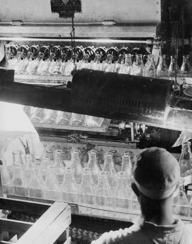 Adohr Farms bottle washing operations, Tarzana, circa 1936