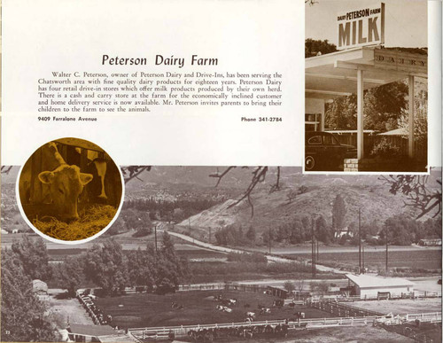 Peterson Dairy Farm in Chatsworth, circa 1966