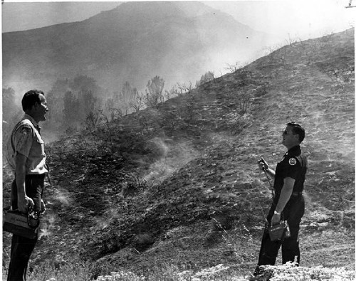 Calabasas brush fire, 1965