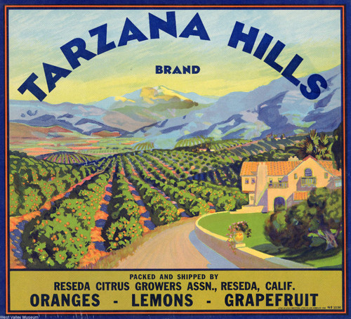 Tarzana Hills Brand citrus crate label, circa 1940