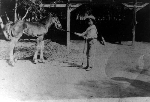 Verdugo Adobe, circa 1900